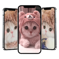 Кошки Обои