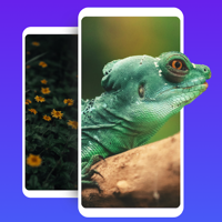 V Launcher:Theme, Icon Changer