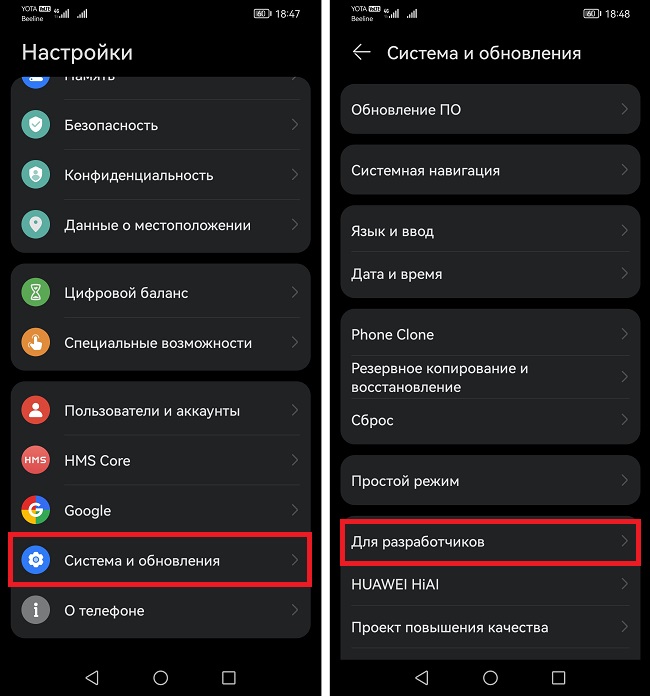режим разаботчика