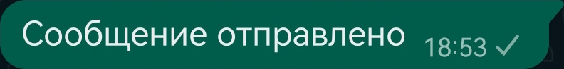 сообщение ватсап отправлено, но еще не доставлено