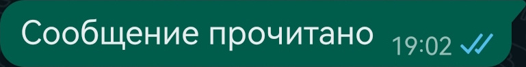 Сообщение ватсап прочитано