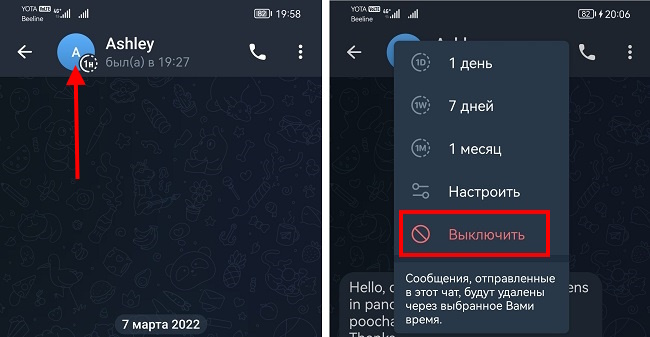 выключить автоудаление сообщений в телеграм